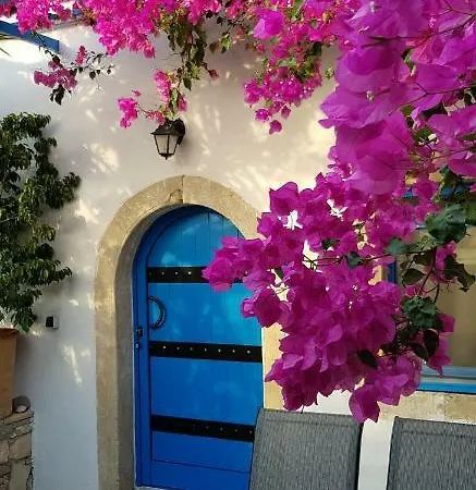 Xenonas Apartment Kamilari Exterior photo